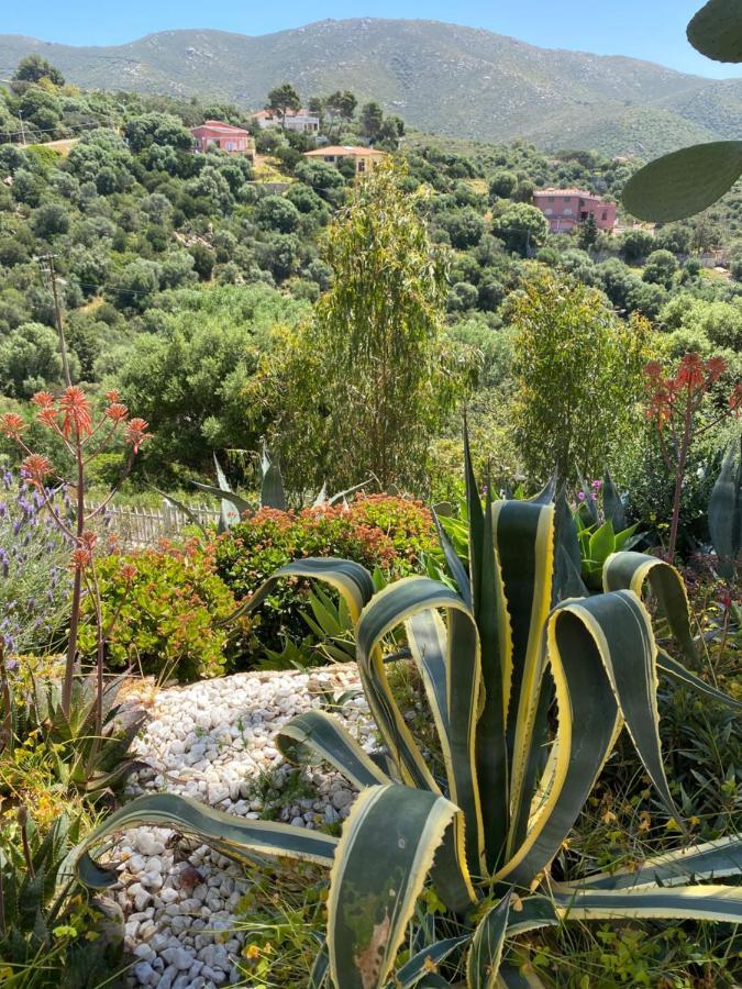 Villa Bella Salmagi - Surya Sardinia Holidays & Yoga Capitana Eksteriør bilde
