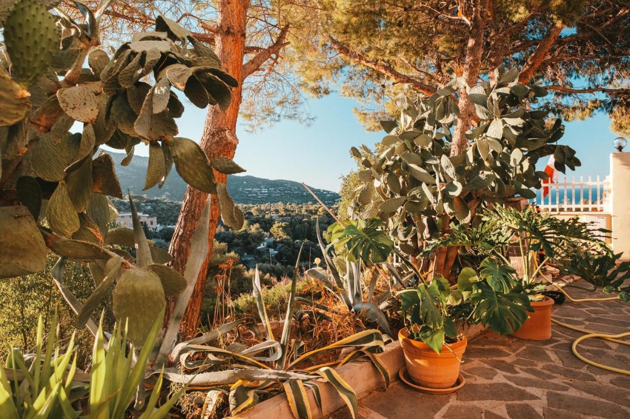 Villa Bella Salmagi - Surya Sardinia Holidays & Yoga Capitana Eksteriør bilde